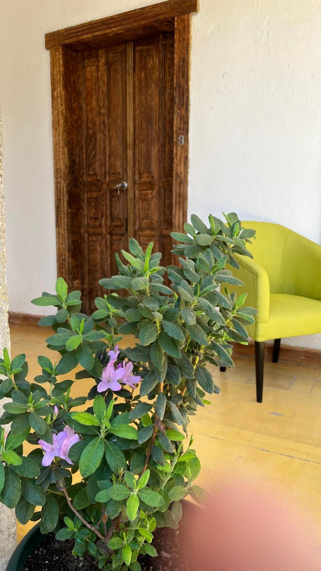 Casa De Las Flores Guatemala City Ngoại thất bức ảnh