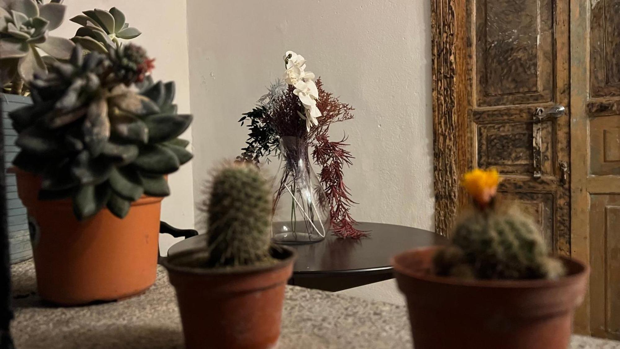 Casa De Las Flores Guatemala City Ngoại thất bức ảnh